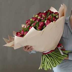 Большой букет  из 101 бордового пиона Premium