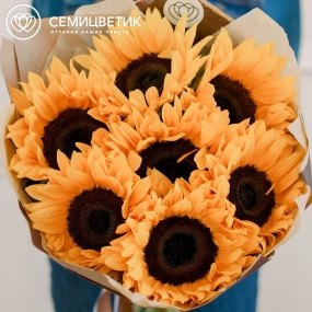 Букет из 7 подсолнухов в упаковке