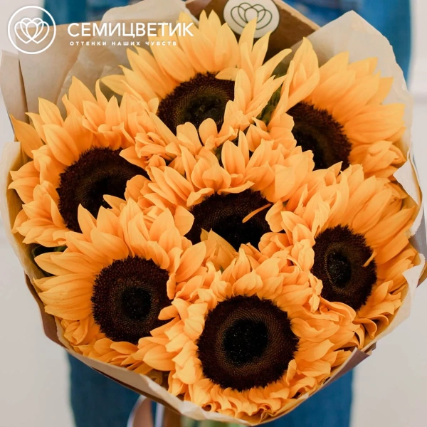 Букет из 7 подсолнухов в упаковке