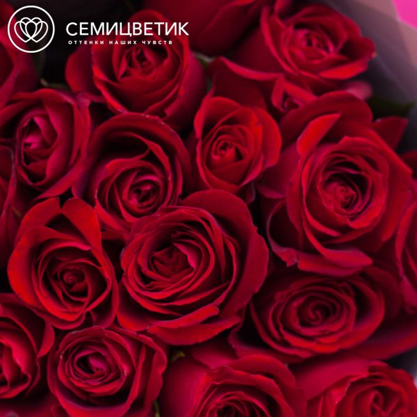 Букет из 17 красных роз 40 см (Кения)
