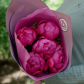 Букет из 5 ярко-розовых пионов Standart Plus