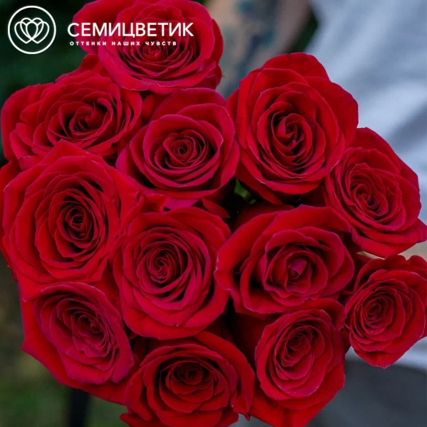 Траурный букет из 12 красных роз 50 см (Россия)