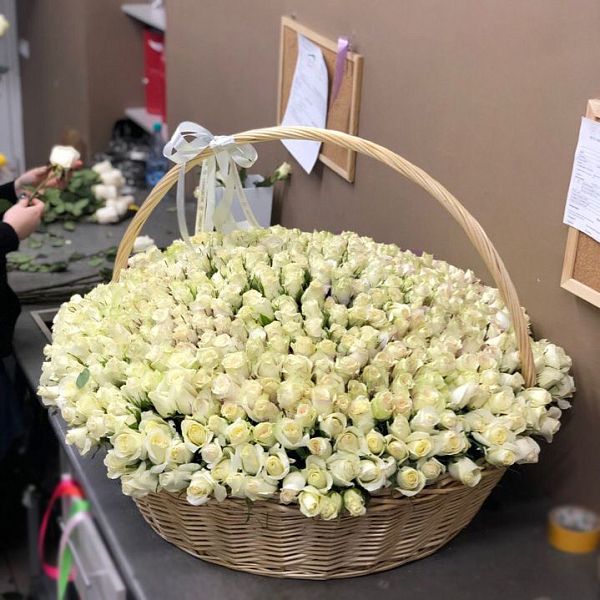 501 белая роза Premium (Кения) в корзине