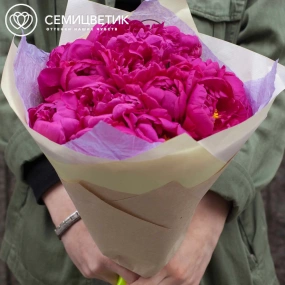 Букет из 15 малиновых пионов Standart в кремовой пленке