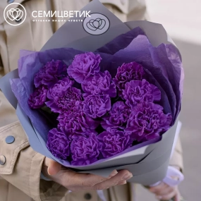 Букет из 15 фиолетовых гвоздик в сиреневой пленке