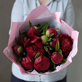 Букет из 11 бордовых пионов Premium