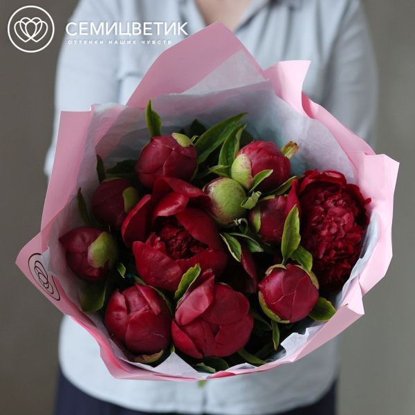Букет из 11 бордовых пионов Premium