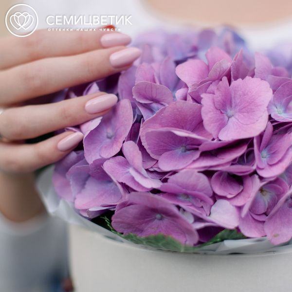 Букет в белой шляпной коробке Amour Mini из 3 сине-фиолетовых гортензий