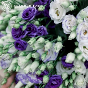 Букет из 51 лизиантуса микс в упаковке