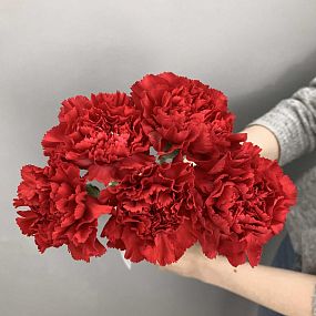 Монобукет  из 5 красных гвоздик