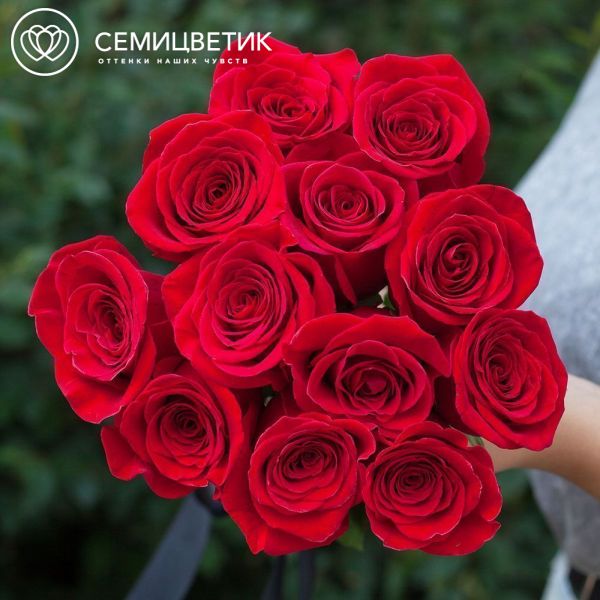 Траурный букет из 12 красных роз Freedom 50 см (Эквадор)