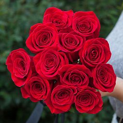 Траурный букет из 12 красных роз Freedom 50 см (Эквадор)
