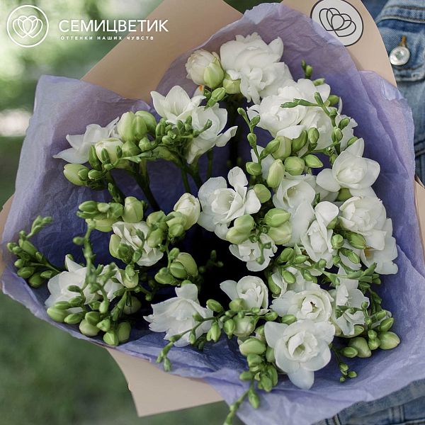 Букет из 25 белых фрезий