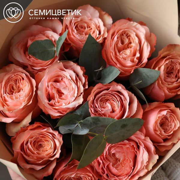 Букет из 11 персиковых пионовидных роз Kahala 50 см (Эквадор) с эвкалиптом в кремовой пленке