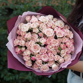 Букет из 21 белой с розовой каймой кустовой розы 40 см (Кения)