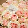 Нежно-розовые розы Pink Mondial 40 см (Эквадор) опт