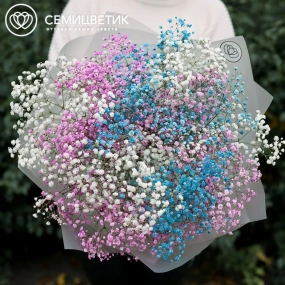 Букет из 11 гипсофил микс в прозрачной пленке