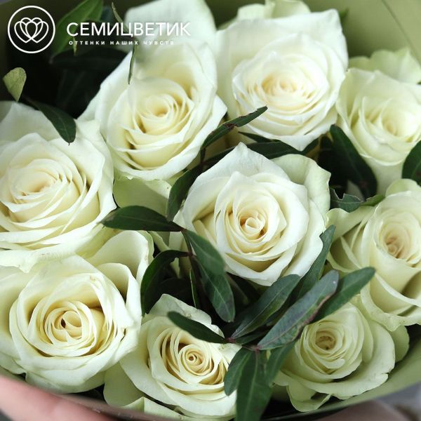 Букет из 9 белых роз 40 см (Кения) с фисташкой