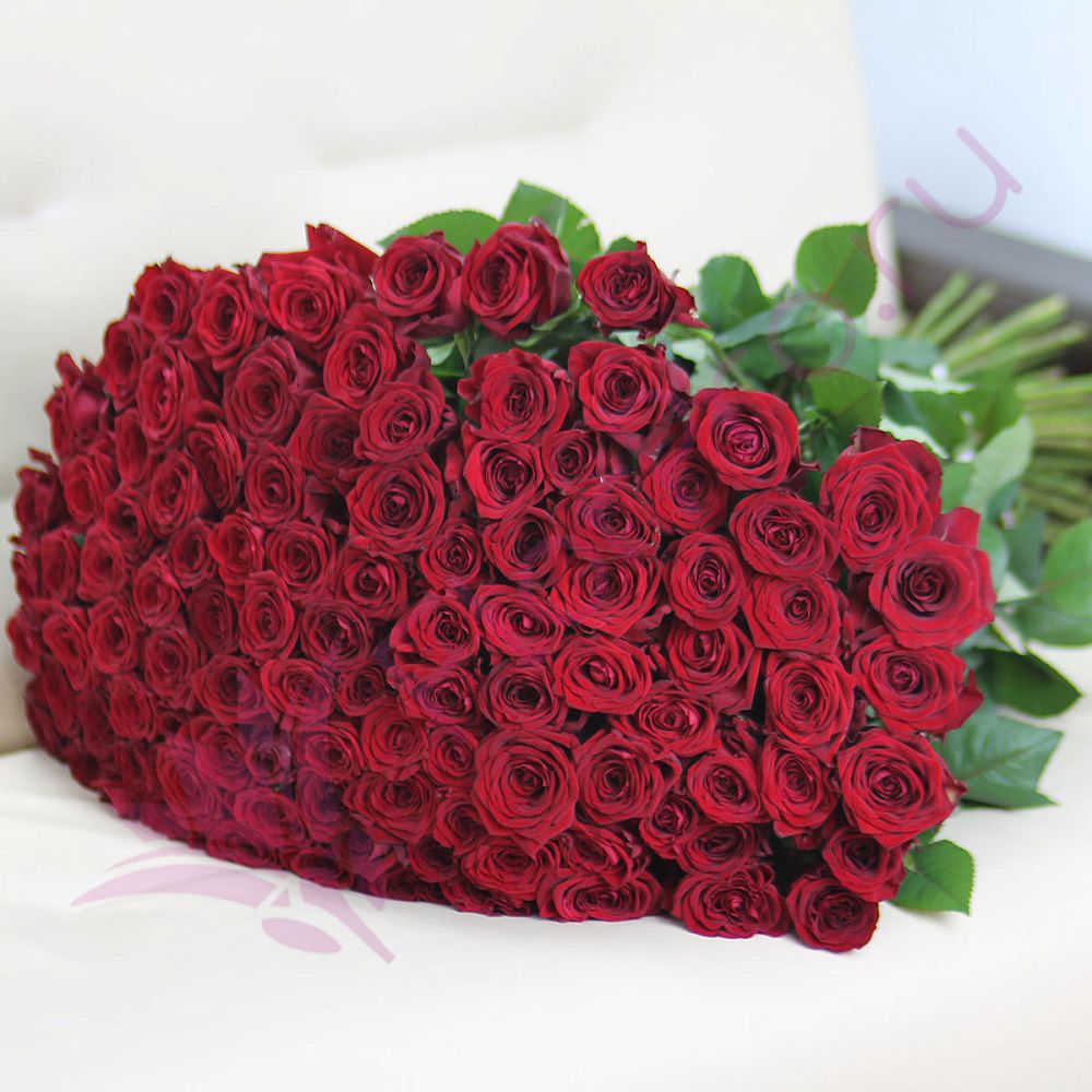 Розы красные ред Наоми 70 см