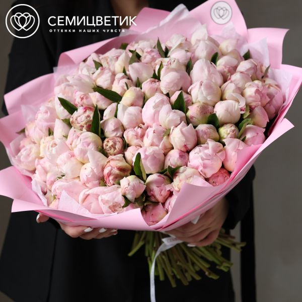 Букет из 101 нежно-розового пиона Gardenia Premium