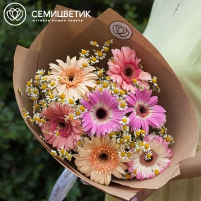 Букет из герберы и матрикарии в упаковке