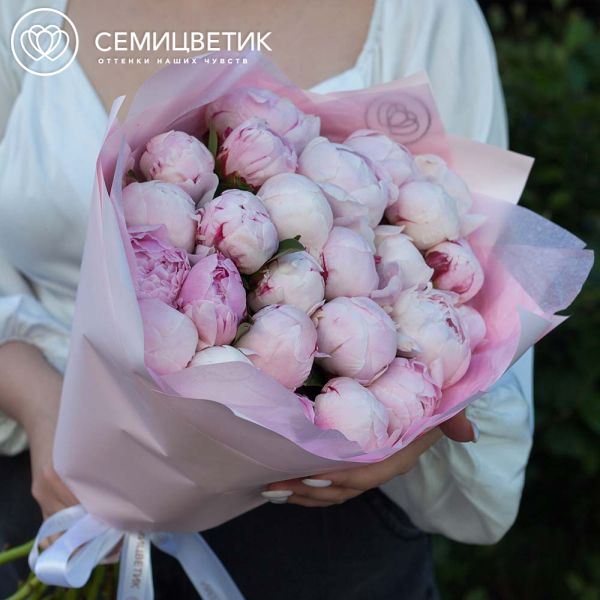 Букет из 25 розовых пионов Standart Plus