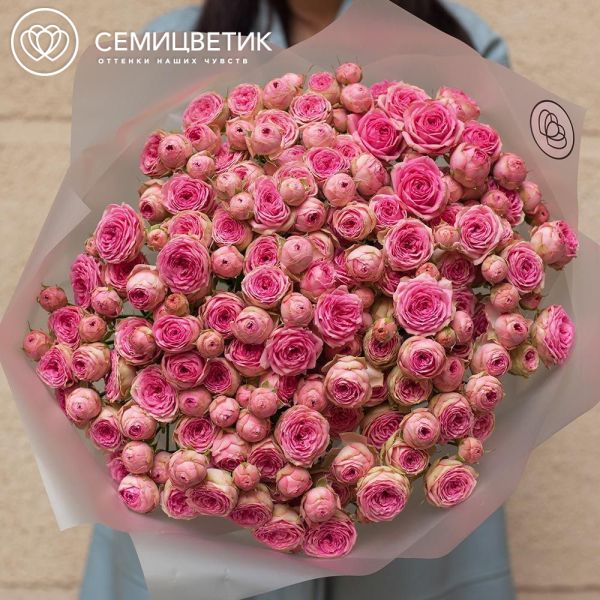 Букет из 15 розовых кустовых пионовидных роз 70 см (Россия)