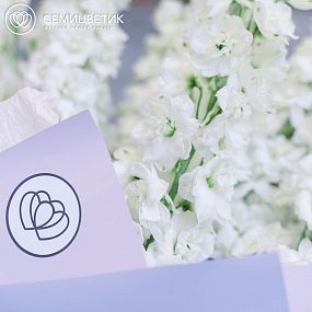 Букет из 9 белых дельфиниумов