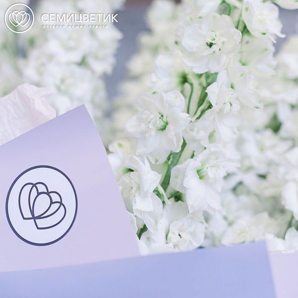 Букет из 9 белых дельфиниумов