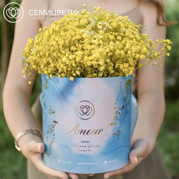 Букет в голубой шляпной коробке Amour Mini из 9 желтых гипсофил