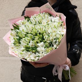 Букет из 51 белой альстромерии