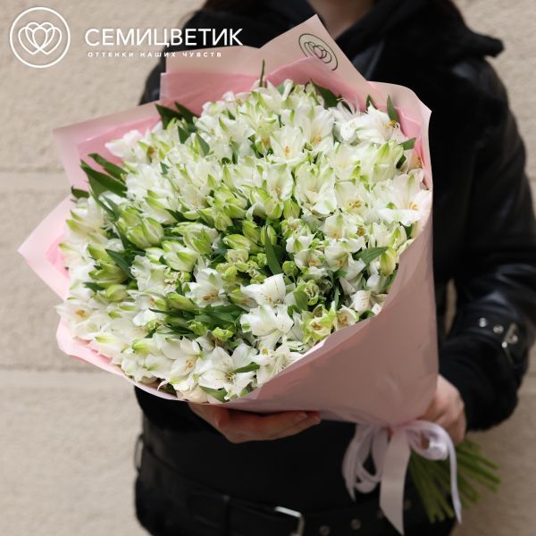 Букет из 51 белой альстромерии