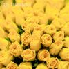 Букет из 101 желтой розы (Кения) 40 см Standart