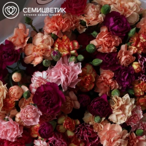 Букет из 51 кустовой гвоздики микс в прозрачной пленке