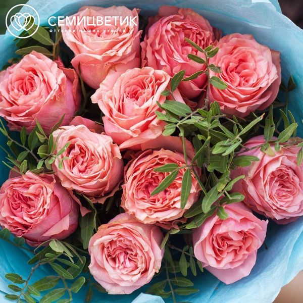 Букет из 11 кораллово-розовых пионовидных роз Wild Love 40 см с фисташкой