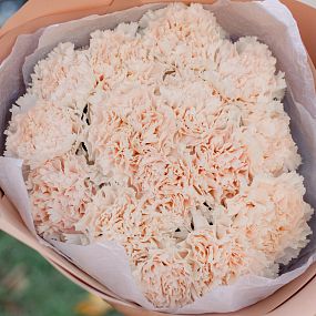 Мини-букет  из 15 кремовых гвоздик