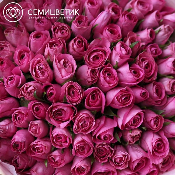 Букет из 101 розовой розы 40 см (Кения)