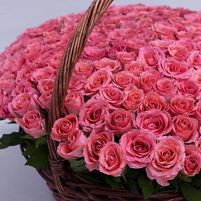 Композиция из 201 коралловой розы (Кения) в корзине