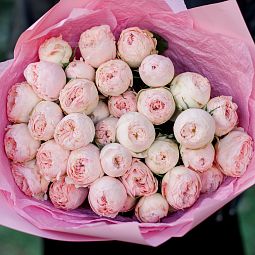 Букет из 9 нежно-розовых кустовых пионовидных роз Mansfield Park 50 см (Эквадор)