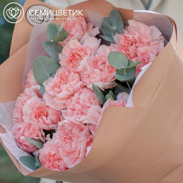 Букет из 15 розовых гвоздик с эвкалиптом