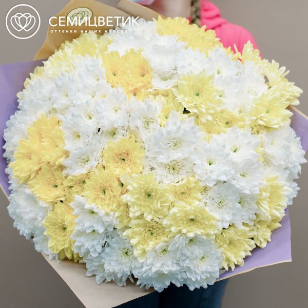 Букет из 25 желтых и белых кустовых хризантем