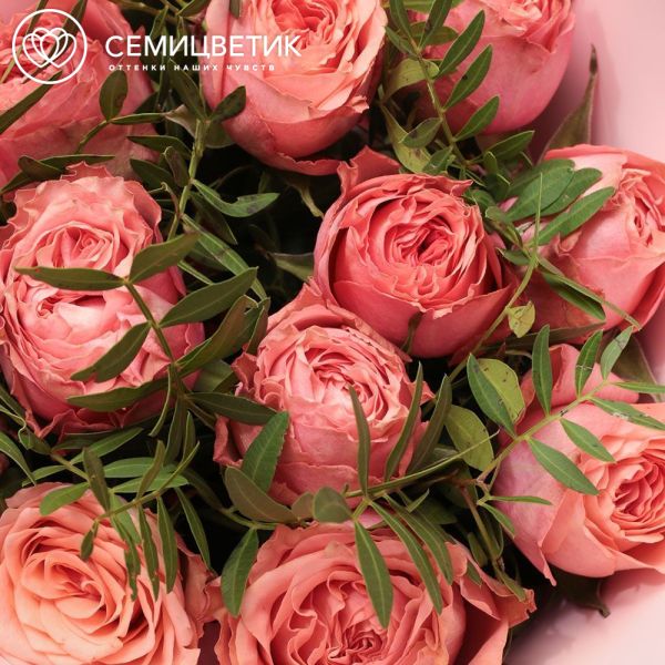 Букет из 11 кораллово-розовых пионовидных роз Wild Love 40 см с фисташкой в розовой пленке