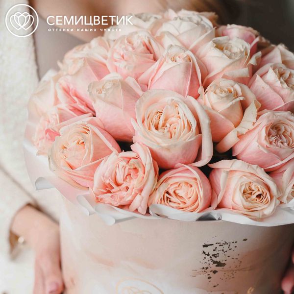 Букет в бежевой шляпной коробке Amour из 35 нежно-розовых пионовидных роз Swan Grace
