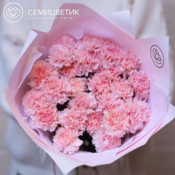 Букет из 25 розовых гвоздик