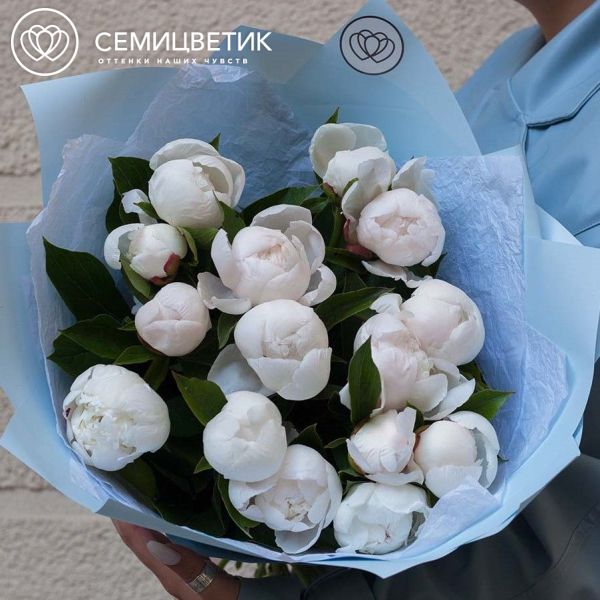 Букет из 15 нежно-розовых пионов Standart Plus в голубой пленке