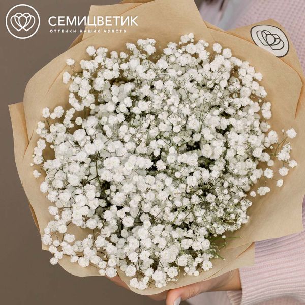 Букет из 7 белых гипсофил в упаковке