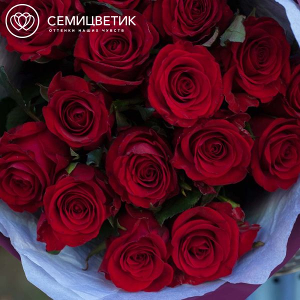 Букет из 15 красных роз 70 см (Россия)