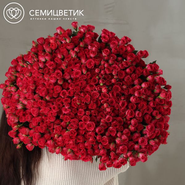 Букет из 151 малиновой кустовой розы 40-50 см (Россия)