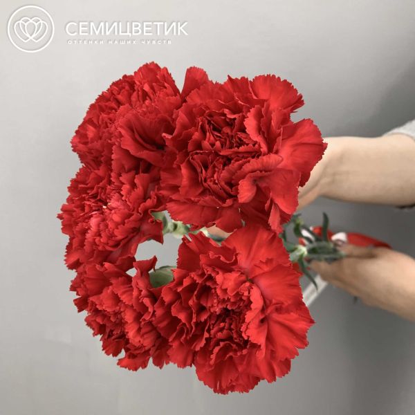 Букет из 5 красных гвоздик