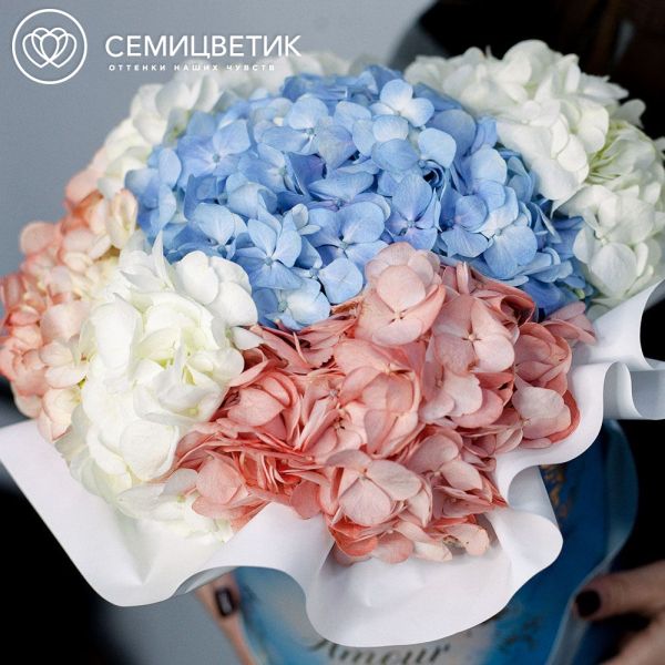 Букет в голубой шляпной коробке Amour Mini из 5 гортензий микс